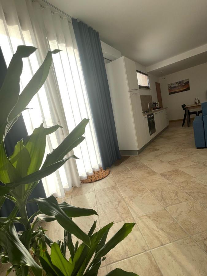 Gioia'S House Daire Custonaci Dış mekan fotoğraf